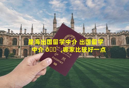 星海出国留学中介 出国留学中介 🌴 ,哪家比较好一点